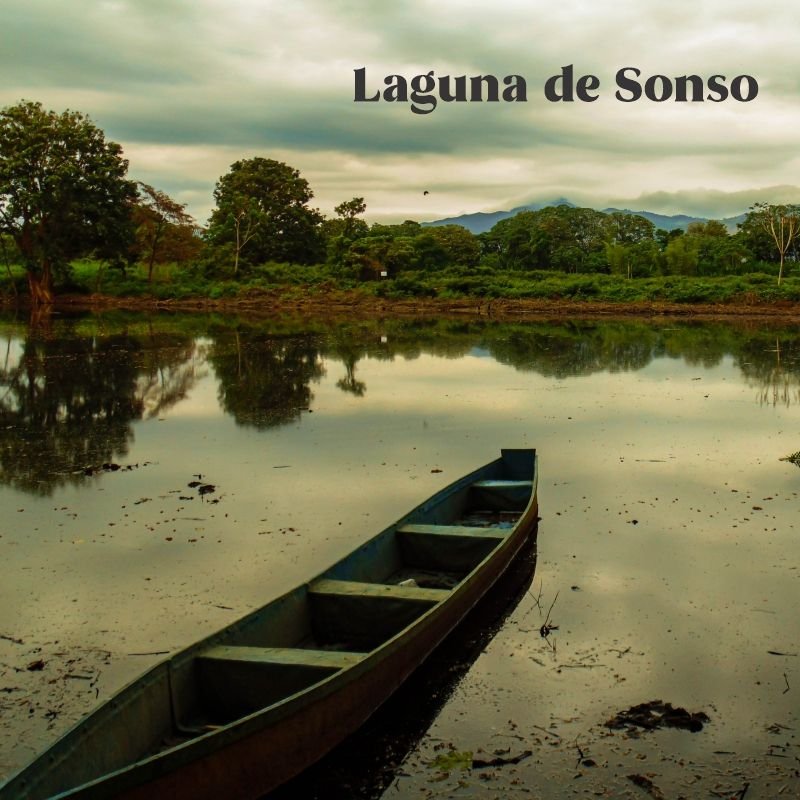 Laguna de Sonso, avistamiento de aves